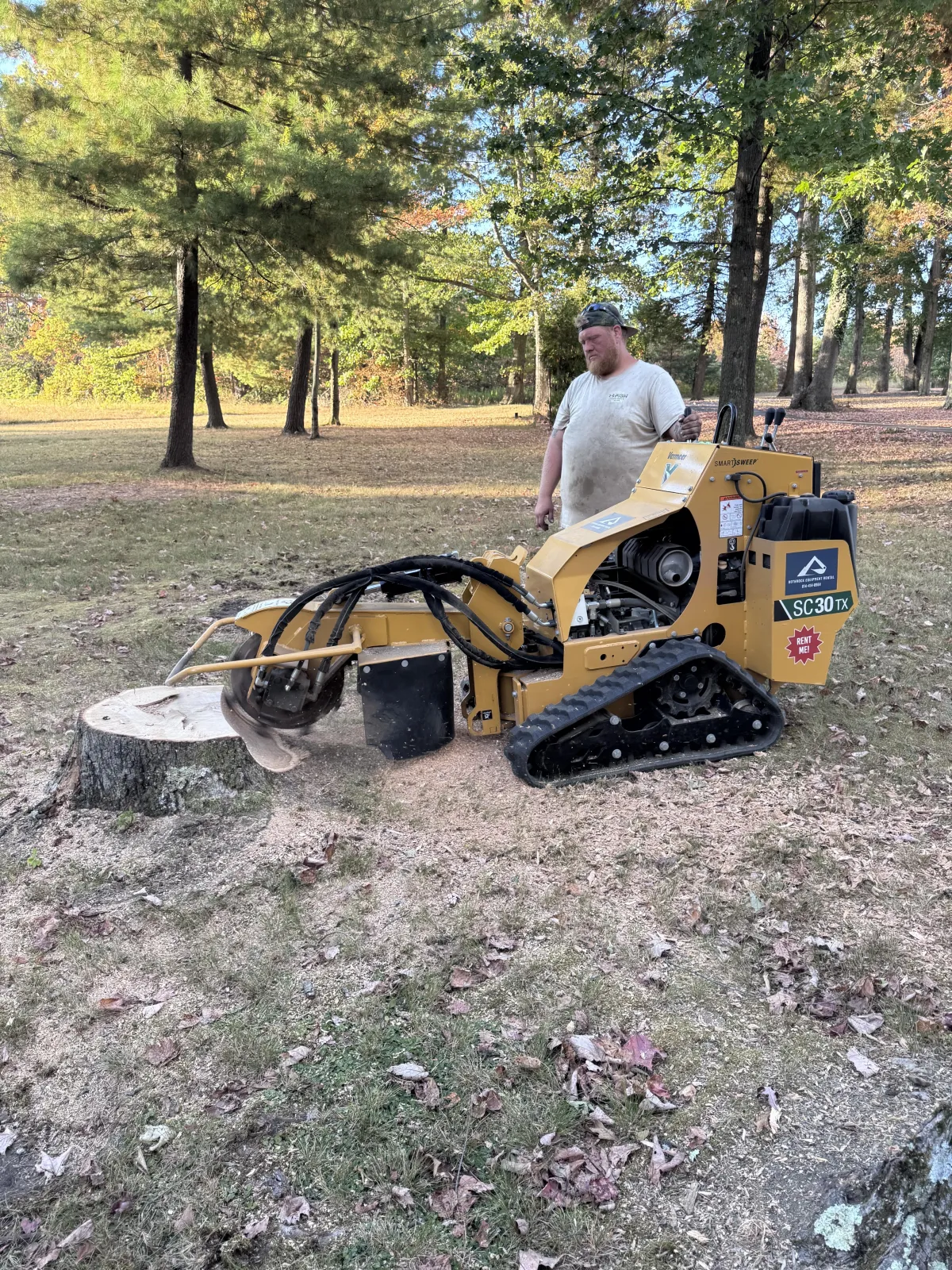 How Much Does Tree Removal Cost in Clearfield County PA? - 2025 Price Guide