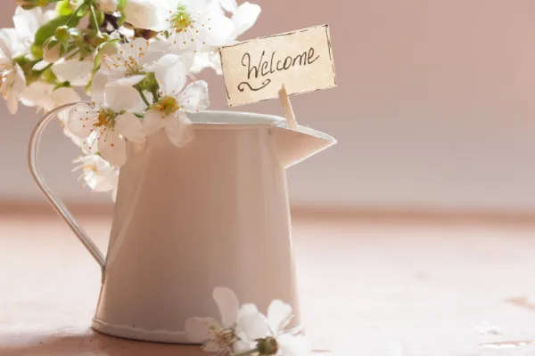 All things motherhood from a midwest mama