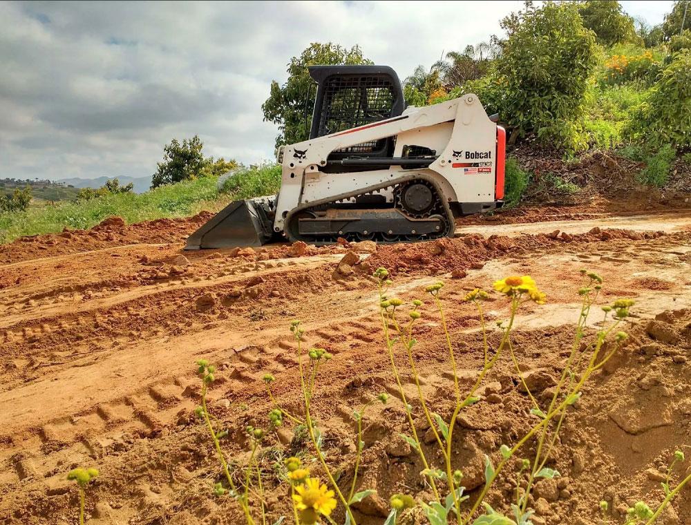 Land Clearing near Coosa County, Alabama