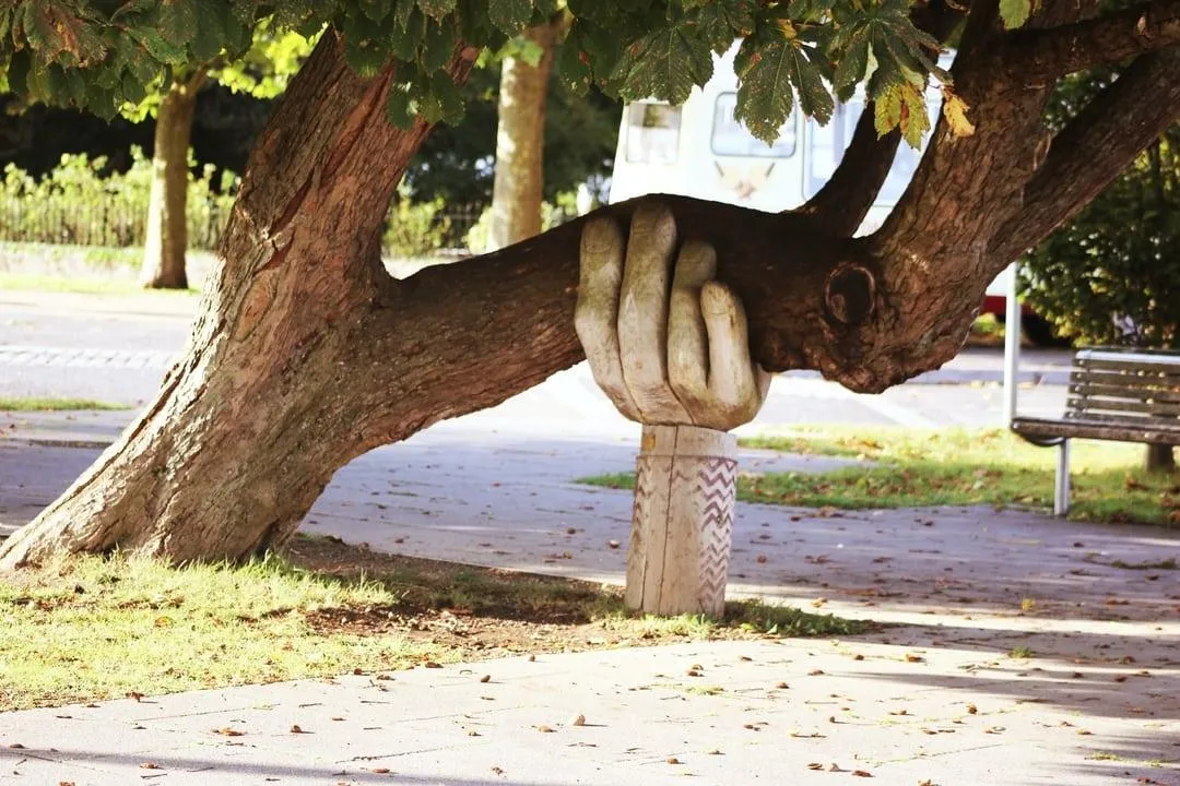 hand holding tree