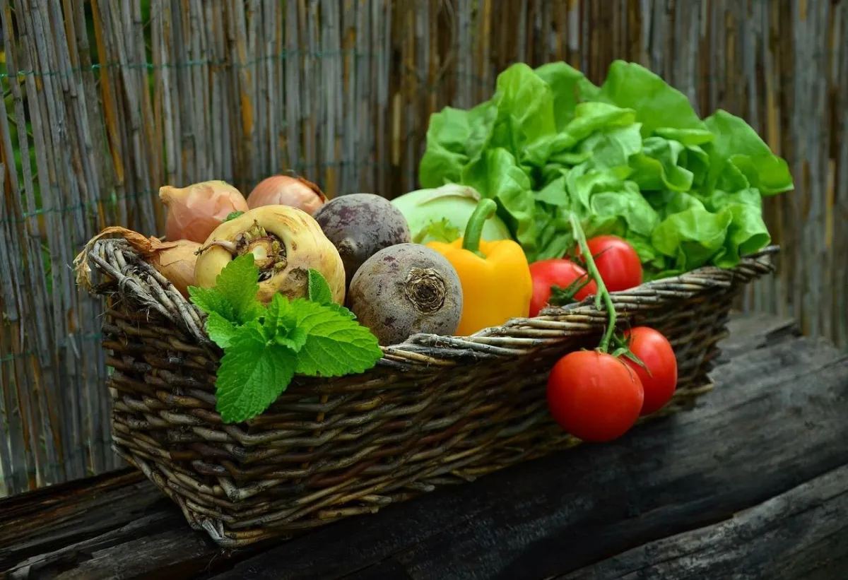 Healthy Habits 