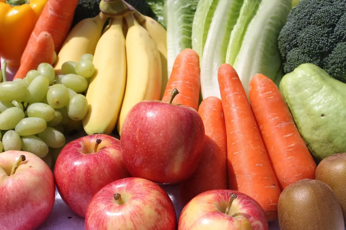 Discover our top 5 picks for antioxidant foods that combat aging effects.