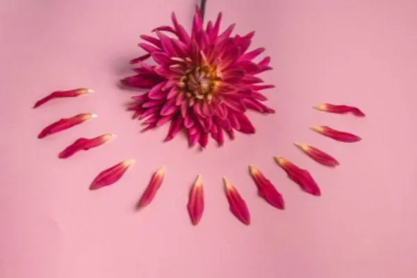 understanding menopause blog post