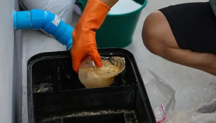 What to Do After a Grease Trap Overflow Emergency (First 24 Hours)