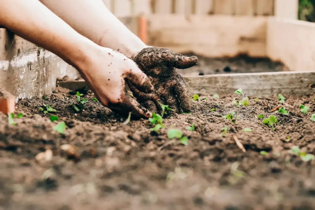 How Does Recycling Cooking Oil Benefit the Environment?