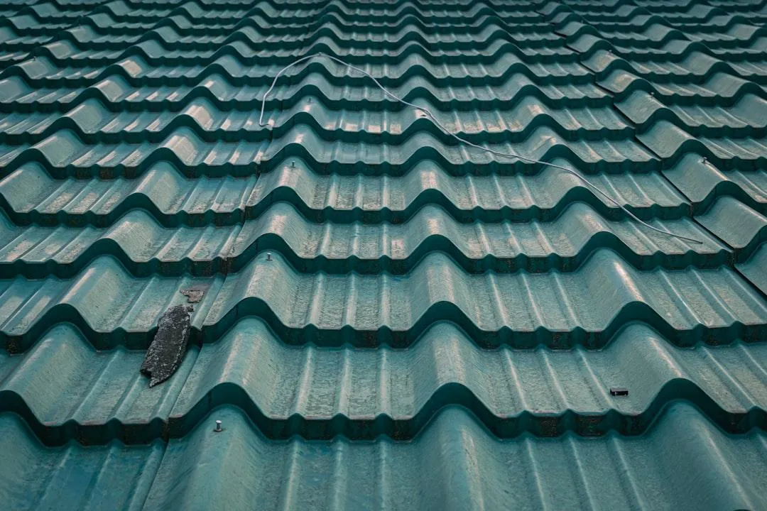 Guide To Roof Cleaning