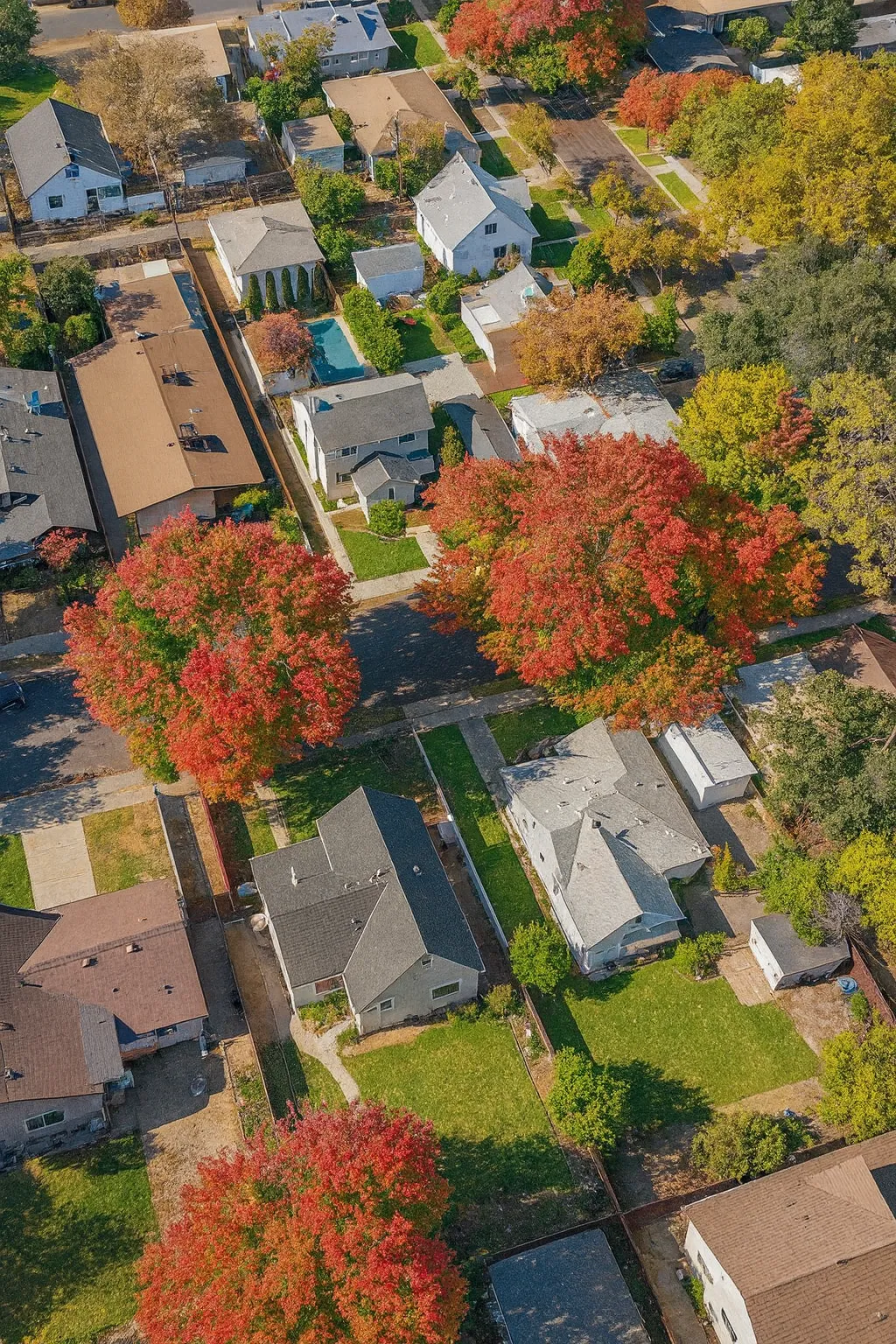 4 Reasons Why Selling During the Holidays Might Be Your Smartest Move