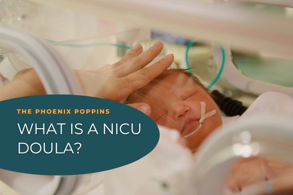 What Is a NICU Doula?