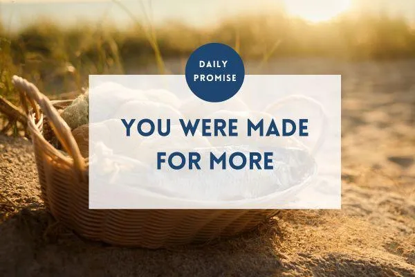 You Were Made for More Than Just Enough