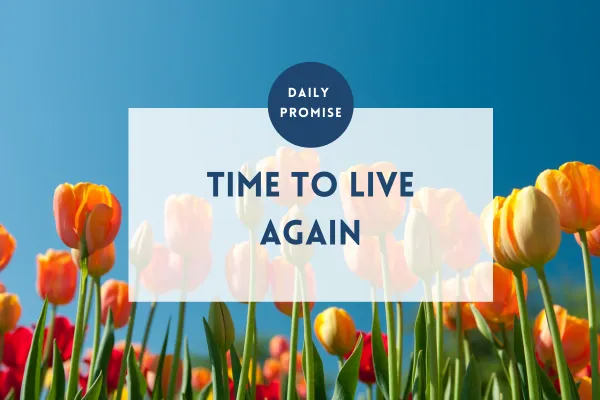 A Gentle Reminder – It’s Not Too Late to Live Again