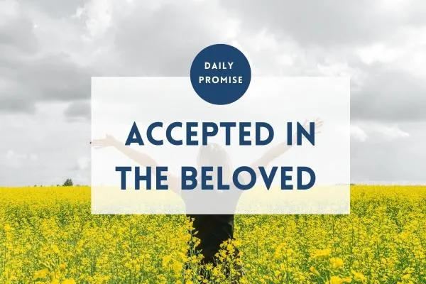 You Don’t Need Their Approval | Accepted in the Beloved