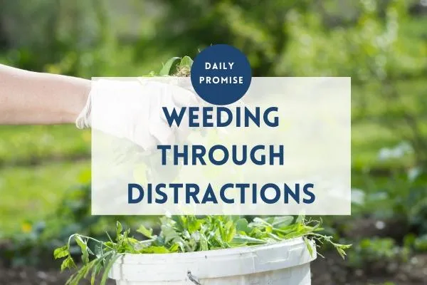 Weeding Through the Distractions | Thomas & Mandi Griffin