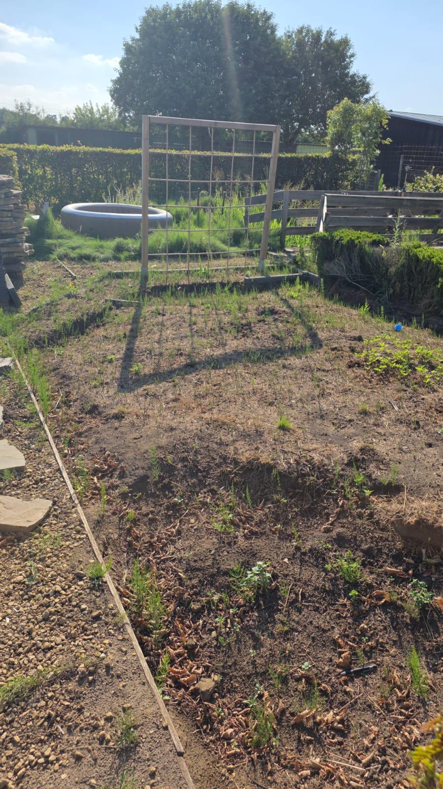 Achtertuin bestrating Klus & Bestratingsbedrijf Engelbart