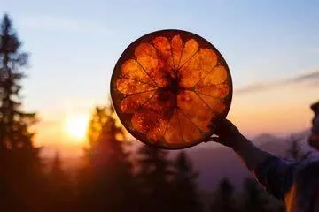 Core shamanism