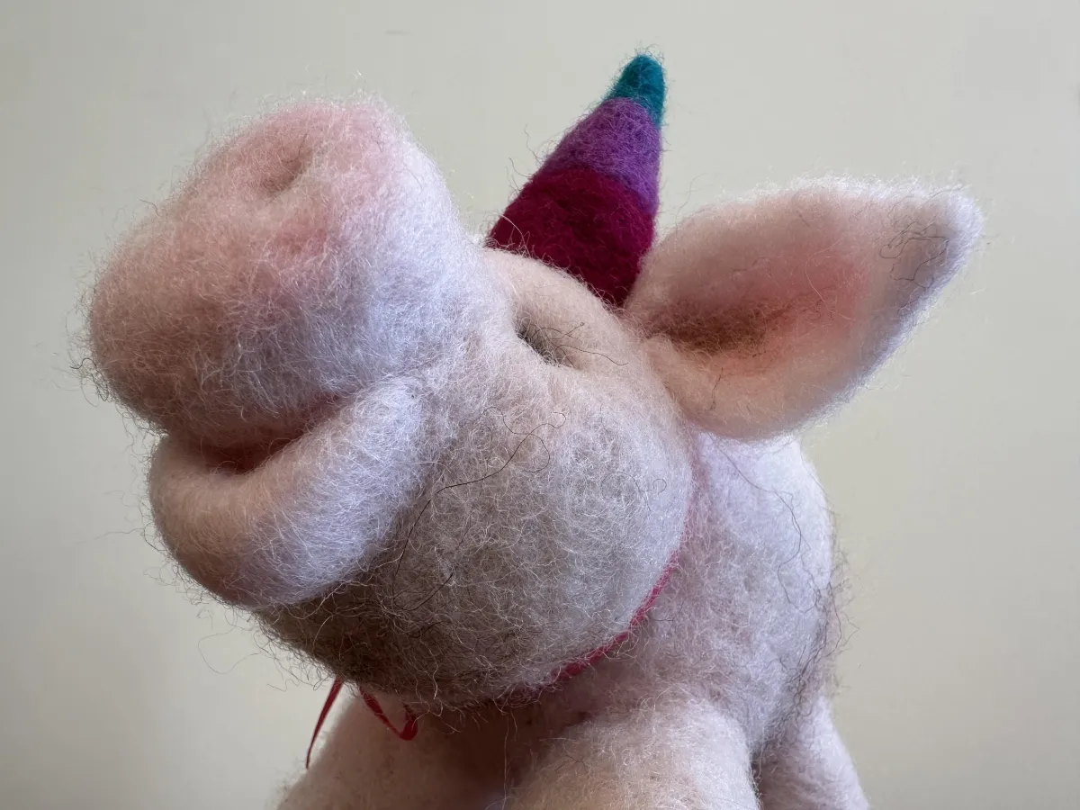 Welcoming 2024 with Open Hearts and Brimming Minds