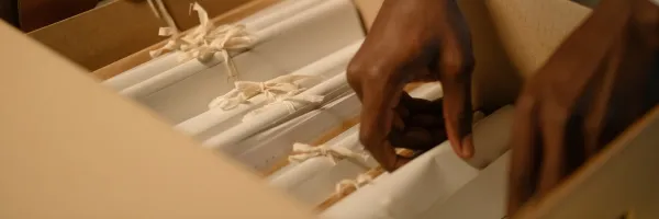Close up of feminine hands looking through white paper files