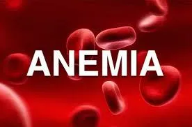 Why Do I Have Anemia