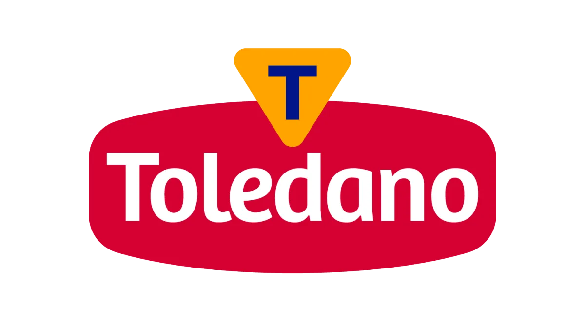 Práctica Profesional - PROYECTOS DE INGENIERÍA - TOLEDANO
