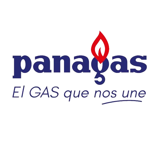 Práctica Profesional - Proyecto Operaciones - LPG de Panamá, S.A. (Panagas)