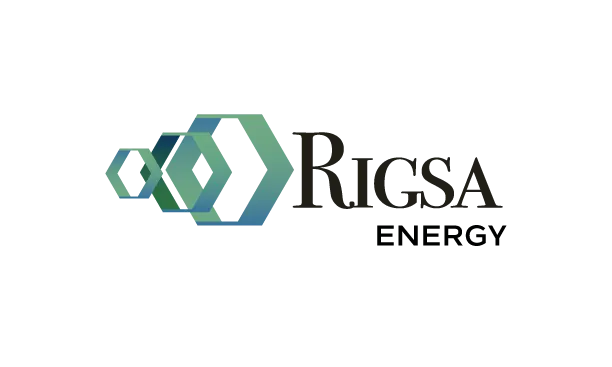 Práctica Profesional - Asistente Planificador  - RICHA DE LA GUARDIA,S.A.