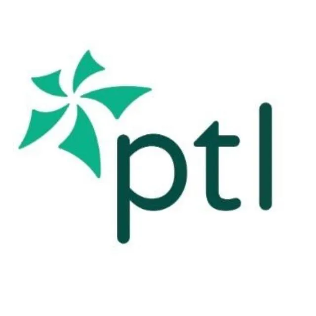Práctica Profesional - Encargado de marketing y publicidad  - Ptl group