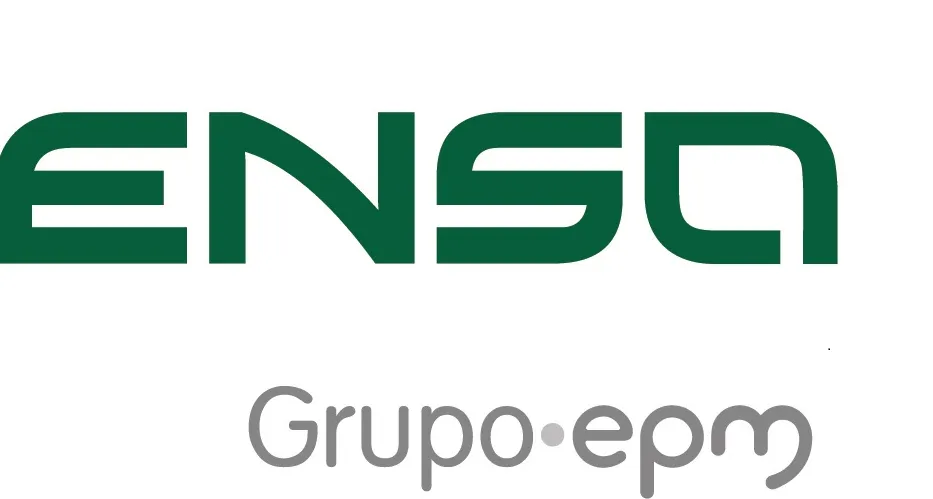 Práctica Profesional - Practicante Profesional de Ingeniería Industrial - ENSA (ELEKTRA NORESTE)