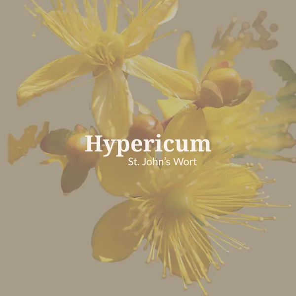 Hypericum for Nerve Pain After Birth