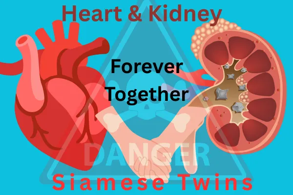 Heart/Kidney