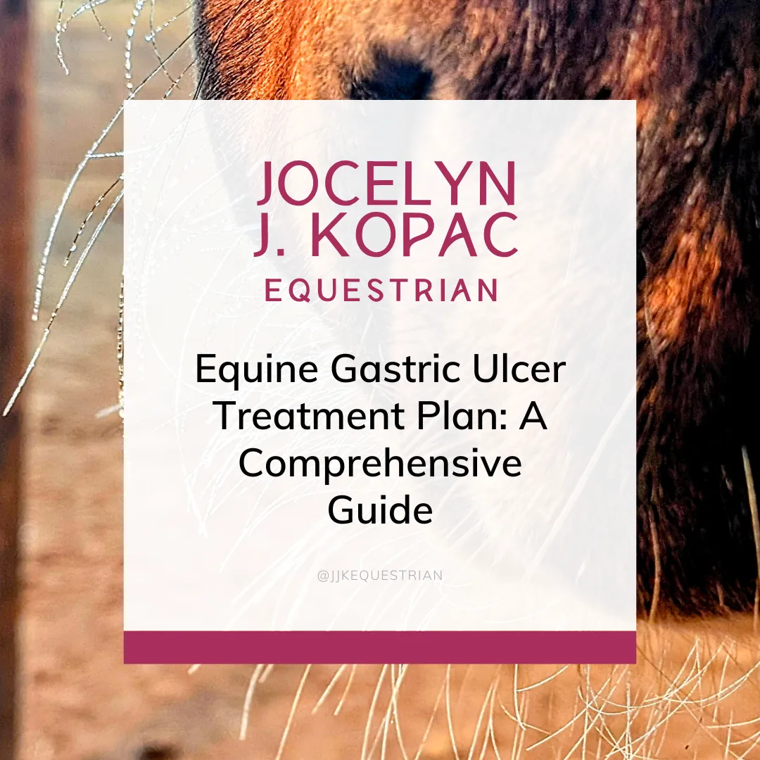 Equine Gastric Ulcer Treatment Plan: A Comprehensive Guide