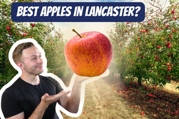 Lancaster County’s Best Spots for Apple Picking & Farm Tours (2025)
