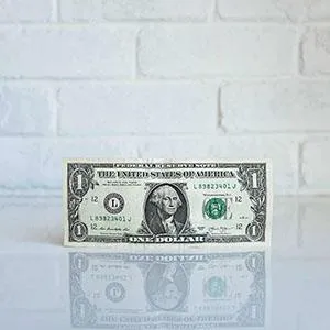 Why Some Business Coaching Franchises Will Force You Into Bankruptcy