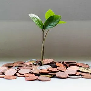 How Much Money Can I Make with a Business Coaching Franchise?