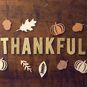 Gratitude: An Overlooked Business Coaching Success Secret