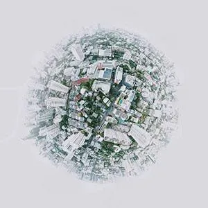 Should You Be a Local or Global Business Coach?