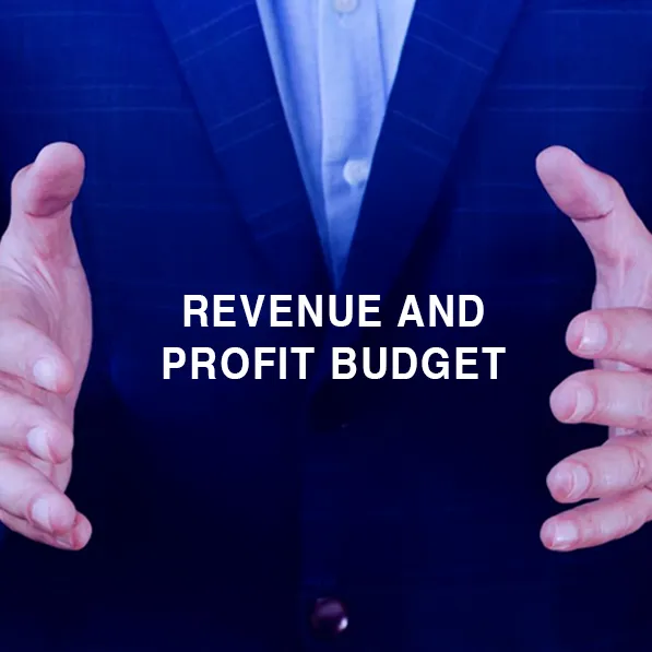 REVENUE & PROFIT BUDGET