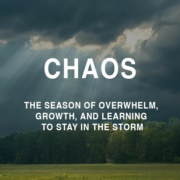 Step 3: Control - The Season of Stability, Structure, and Confident Decision-Making