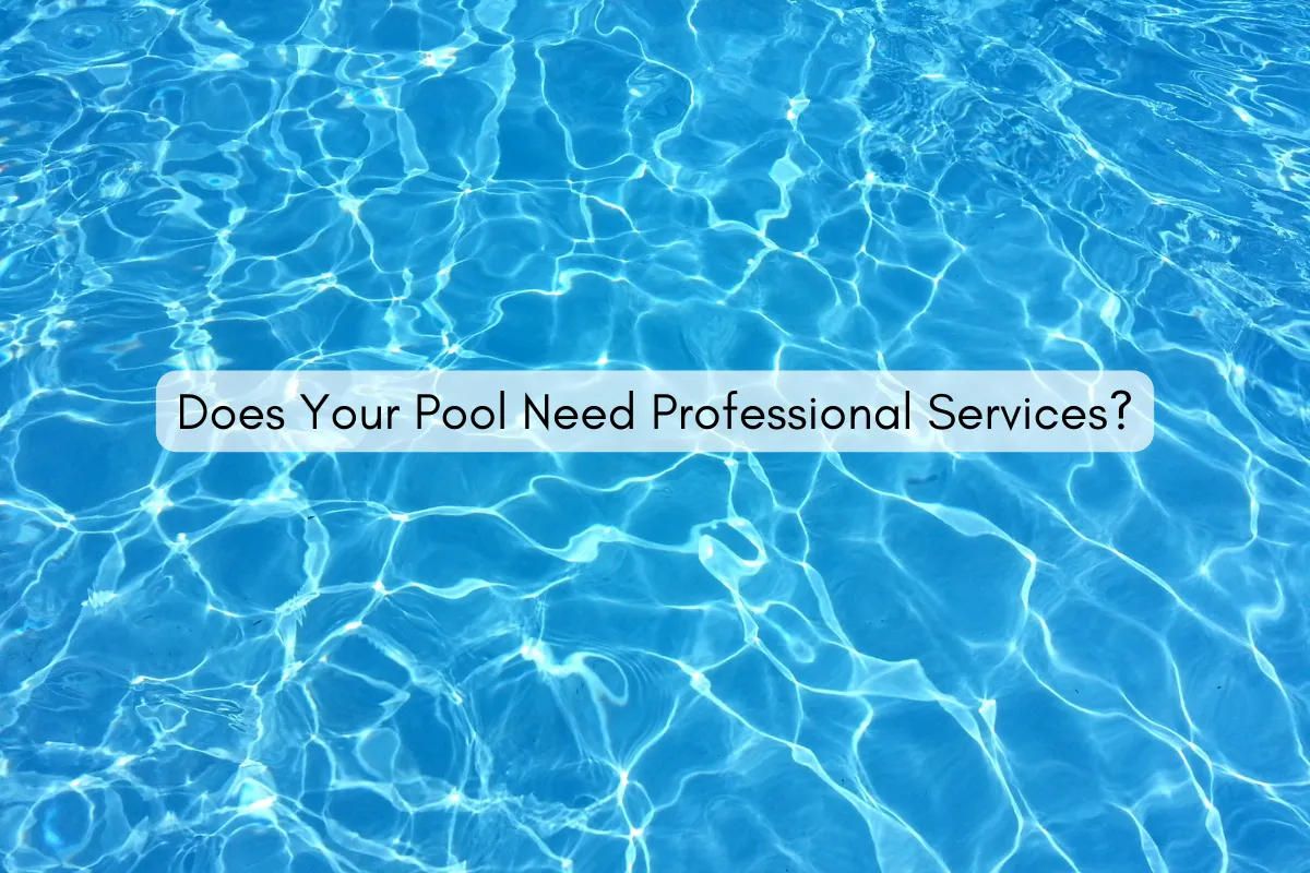Does Your Pool Need Professional Services?