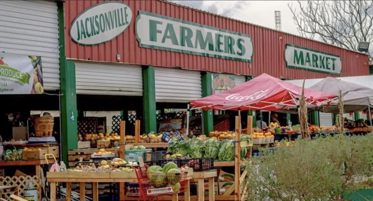 🍅 Farm Fresh and Full of Flavor: Why Normandy Boulevard Farmers Market Is a Gem