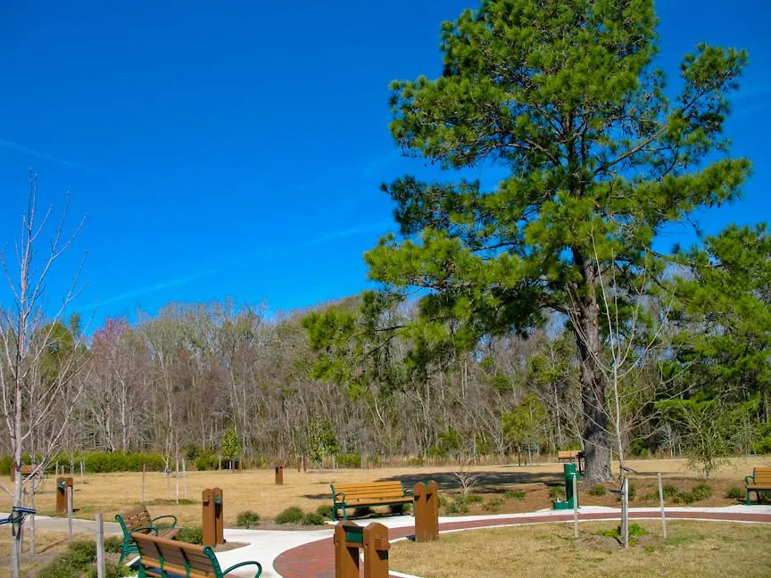 📜 Nature Walks and War Stories: Camp Milton’s Hidden Magic 🏕️