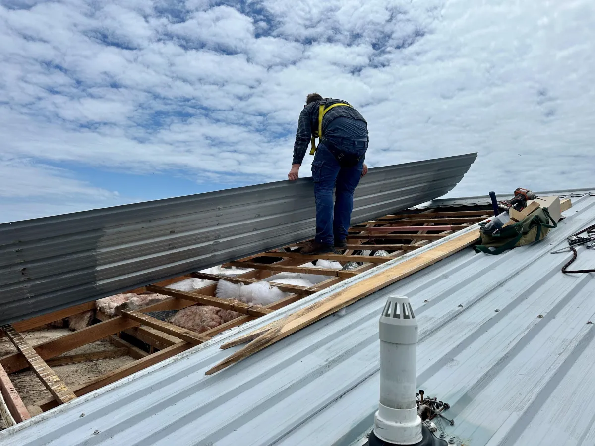 Roof maintenance: the guide to protecting your home