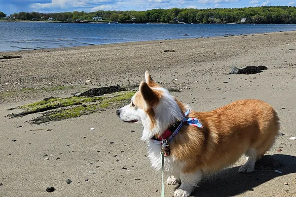 New England Series: Mid-Coast Maine