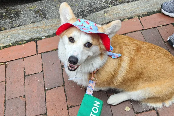 New England Series: Portland, ME