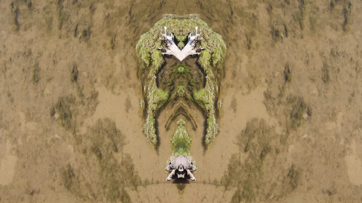 What am I doing here and why do I care?