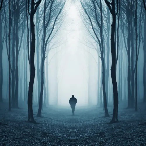 alone in the woods