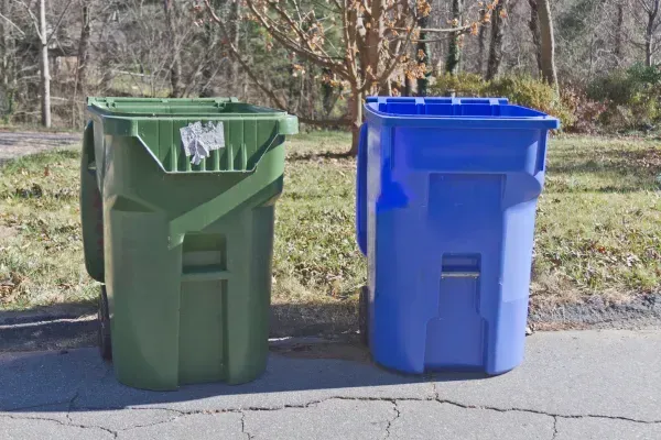 Why Regular Trash Bin Cleaning Matters for Lincoln, AL Homes: Health, Odor, and Pest Control