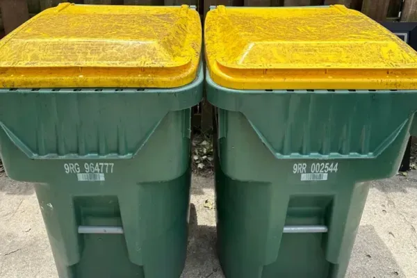 How Our Lincoln Bin Cleaning Service Helps Fight Local Pest Problems