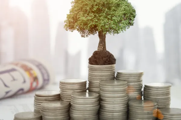 Revenue Does Not Equal Income: Why Understanding the Difference Matters