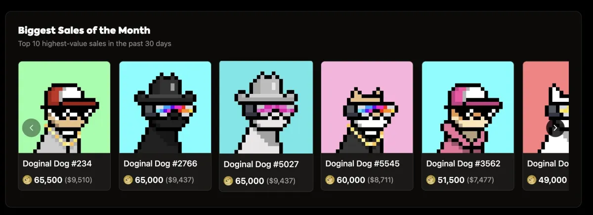 Doginal Dogs take over