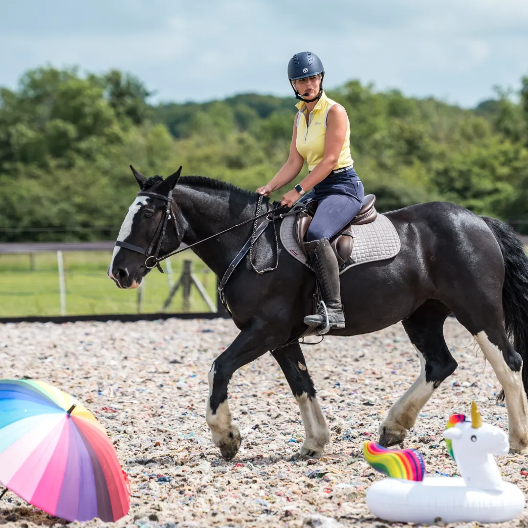 rider and horse
