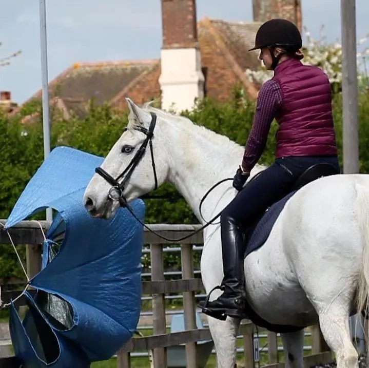 horse standing by tarp